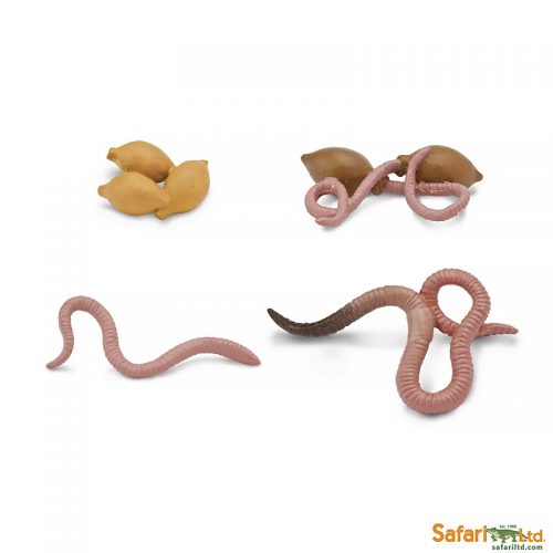Набор фигурок Safari Ltd Жизненный цикл дождевого червя